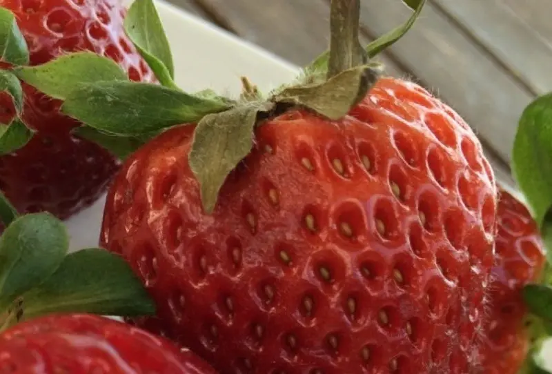 Leche de almendra con fresas