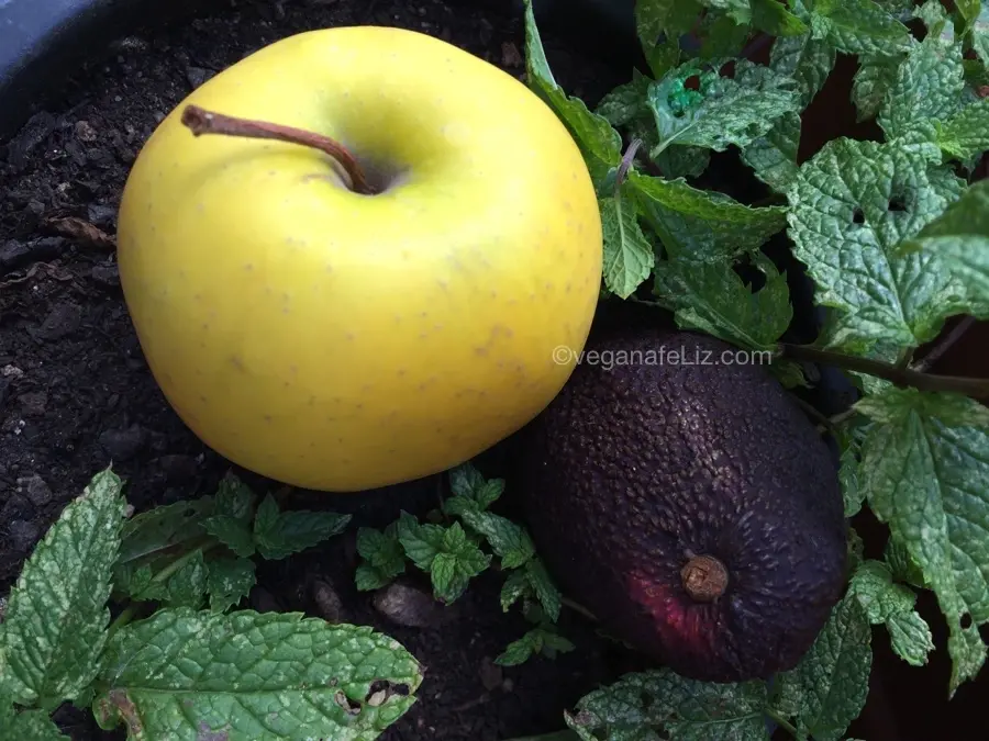 Crema fría de aguacate y manzana