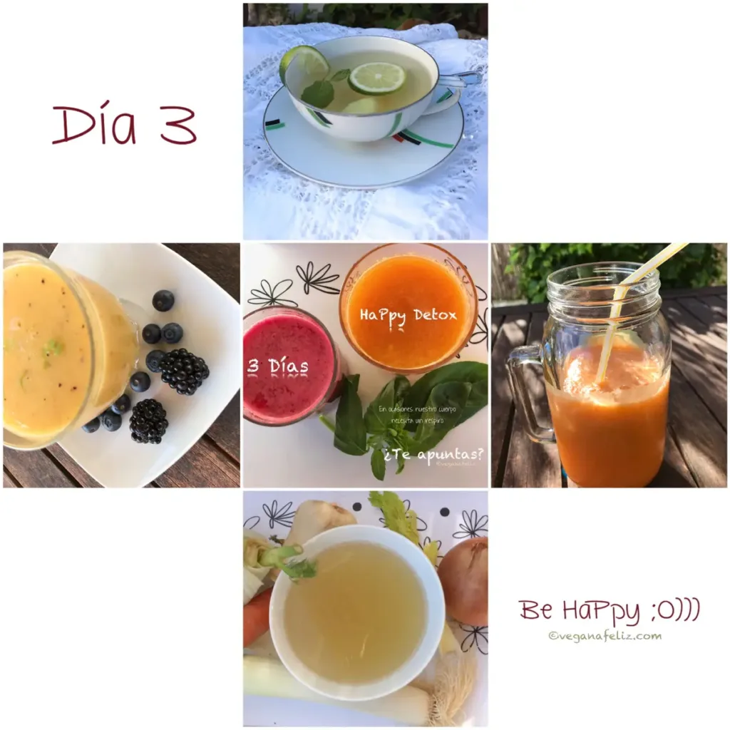 3 Días Happy Detox (Día 3)