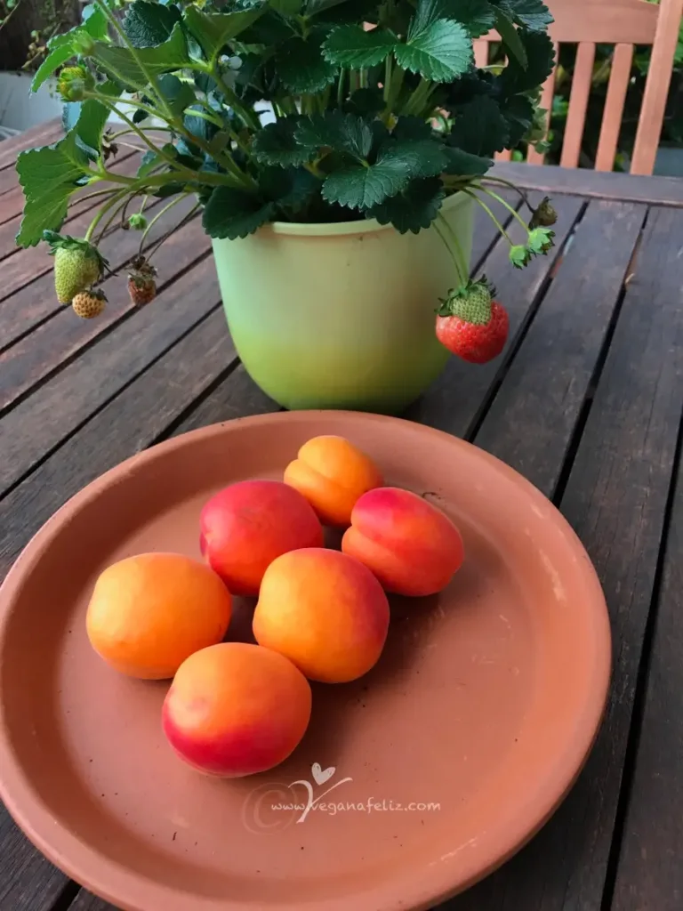 Albaricoques y Fresas