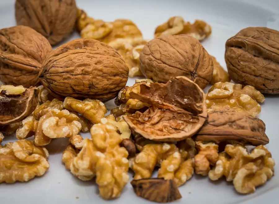 NUECES SUPER ALIMENTO