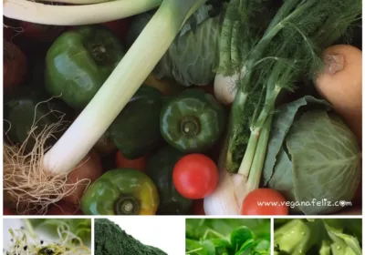 Alimentación Y SALUD