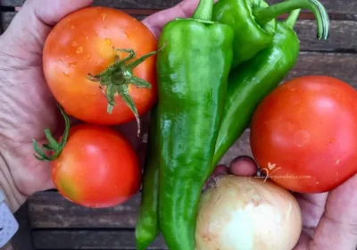 Alimentos reales saludables