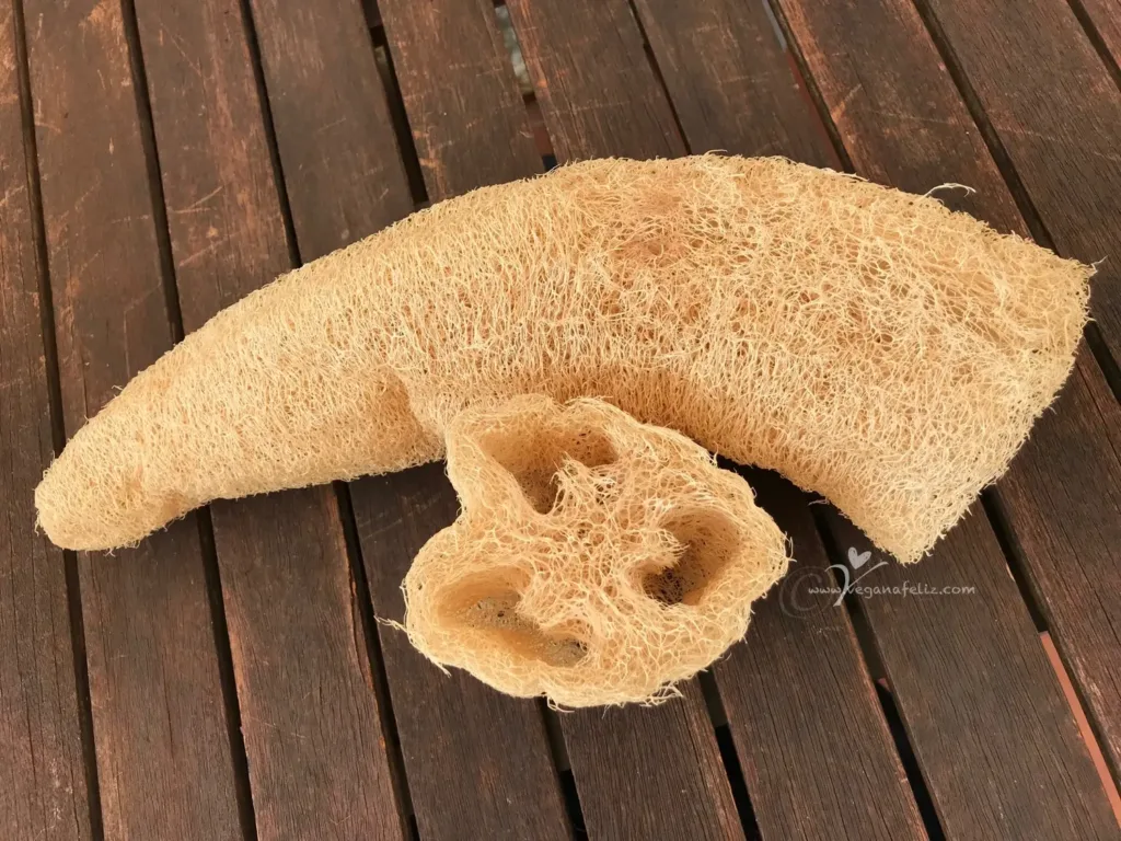 Luffa esponja vegetal