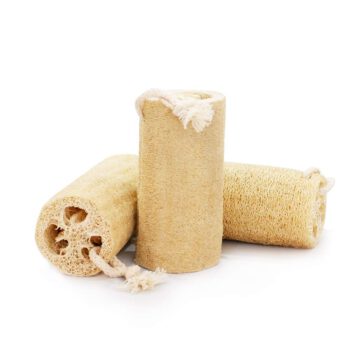 Luffa esponja vegetal