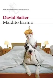 Maldito Karma de David Safier